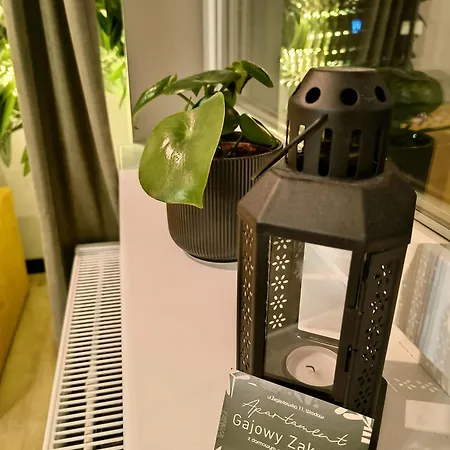 Gajowy Zakatek Wrocław